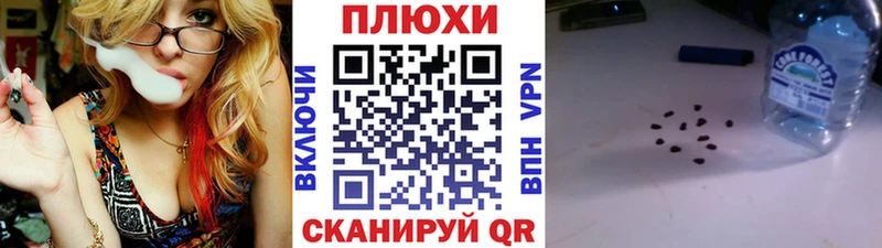 Купить где  Струнино  ГАШИШ Ice-O-Lator 