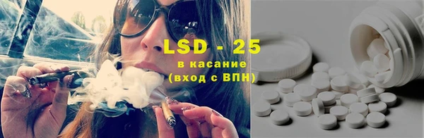 индика Баксан
