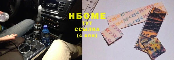 индика Баксан