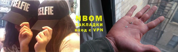 индика Баксан