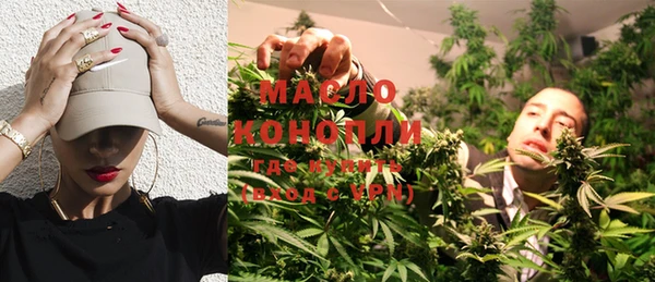 индика Баксан
