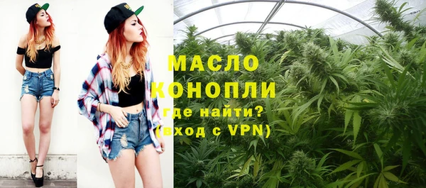 индика Баксан