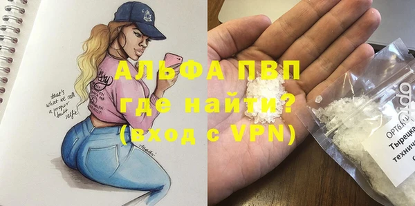 индика Баксан