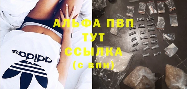 индика Баксан