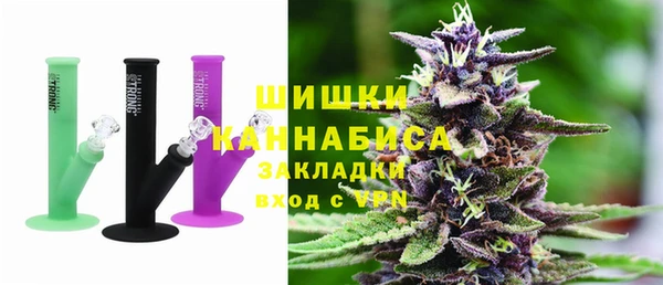 индика Баксан